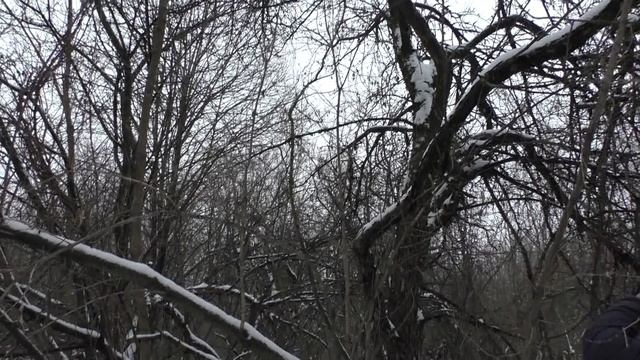 ЧТО МОЖНО НАЙТИ В БРОШЕННОМ САДУ!? И вот что мы нашли! ХОРОШИЕ НАХОДКИ!
