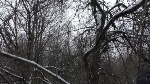 ЧТО МОЖНО НАЙТИ В БРОШЕННОМ САДУ!? И вот что мы нашли! ХОРОШИЕ НАХОДКИ!