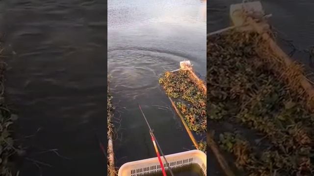 рыбалка в Анапе