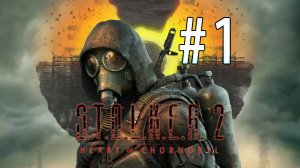 S.T.A.L.K.E.R. 2: Heart of Chornobyl. Первое знакомство с игрой Сталкер 2