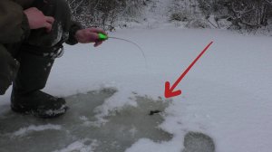 Ну вот и ОТКРЫЛ ЗИМНЮЮ РЫБАЛКУ 2025! Ловлю рыбу на колбасу!