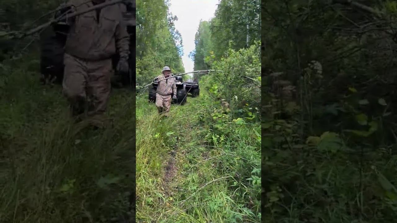 Работа в охотхозяйстве Чугунаевское! #охота #кабан #лось #рыбалка #fishing #карась смотреть онлайн