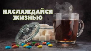 Андрей Каталевич "НАСЛАЖДАЙСЯ ЖИЗНЬЮ"