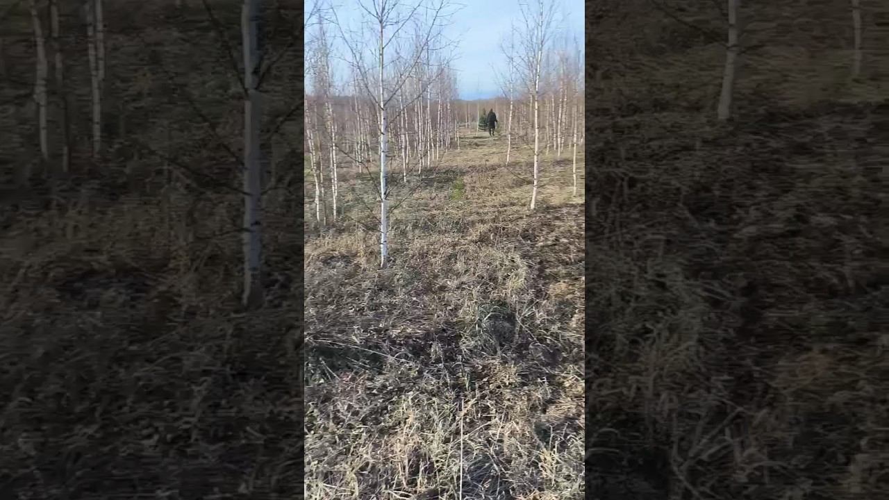 #охота #рыбалка #природа #приключения #лето смотреть онлайн