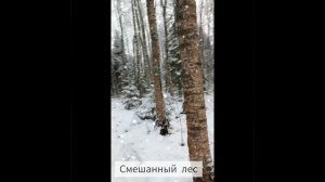 Земельный участок д. Толстяково