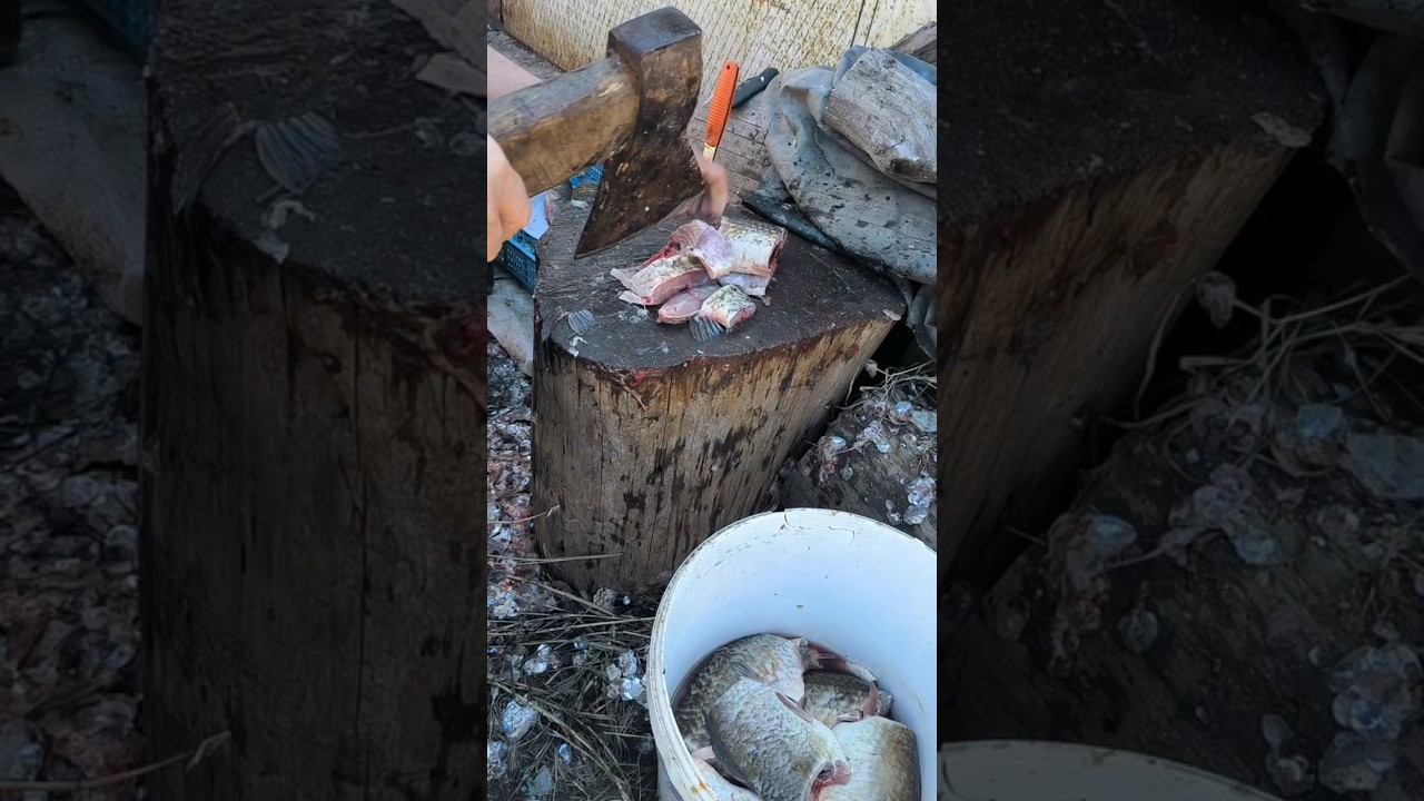 Рыбалка! Рублю карасей топором! #automobile #охота #рыбалка #fishing #карась #топ смотреть онлайн