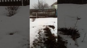 Намучилась с картошкой.Подошла вода в погреб