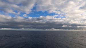 После дождя 4К