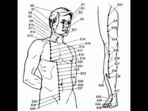 Меридиан ЖЕЛУДКА