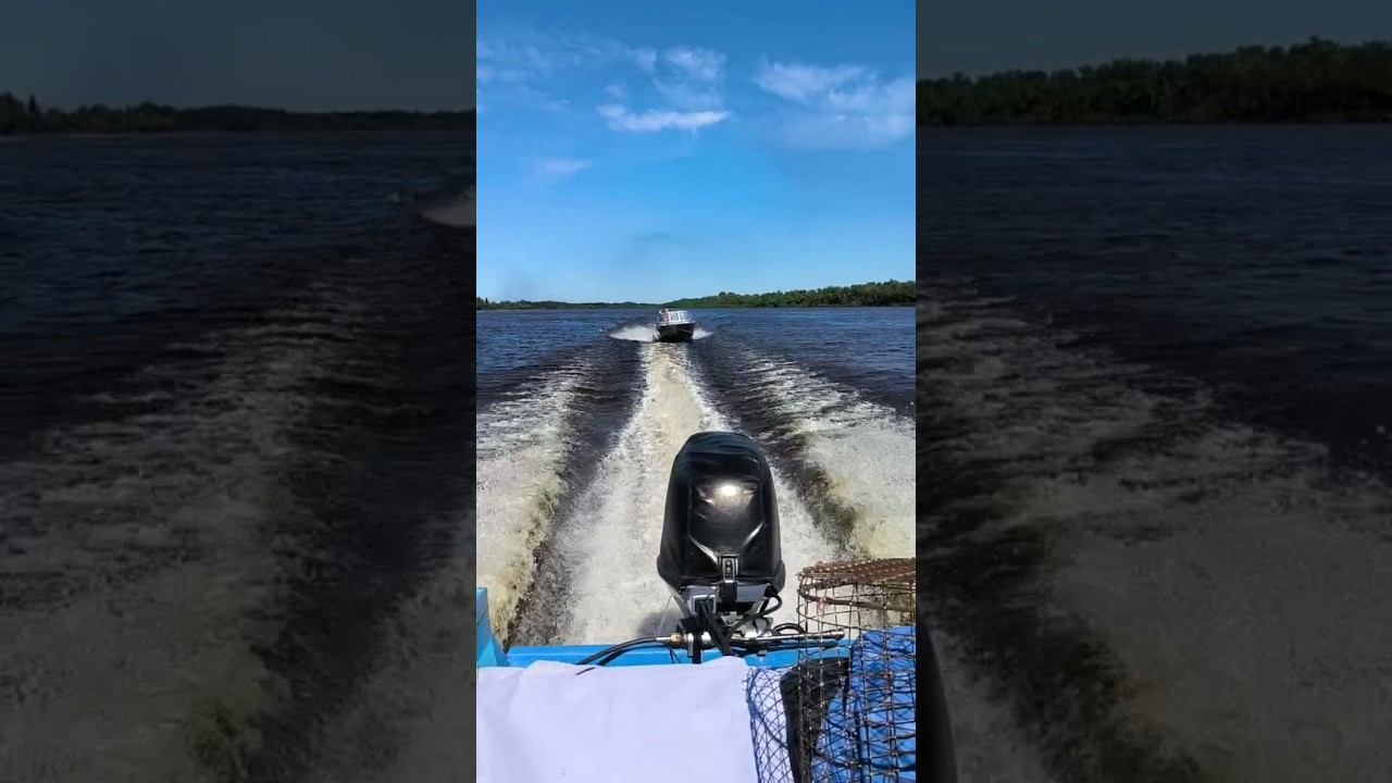 Ухожу от преследования, полный газ! #охота #automobile #газ #рыбалка смотреть онлайн