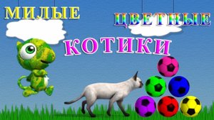 Детское видео, Милые котики, Учим Цвета!