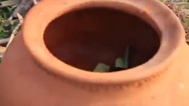 Как приготовить ящерицу.