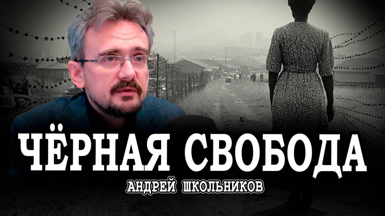 Невозможность порядка, или Апартеид - как необходимость | Андрей Школьников (08.12.2024)