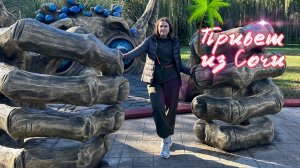 Сочи декабрь 2024