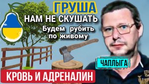 Альфа и омега, войны в Украине. 🍐 Осознания Сами. М.Чаплыга
