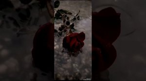 Мот -  случайносьи  не случайны/slowed