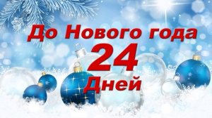 До Нового года 24 дней