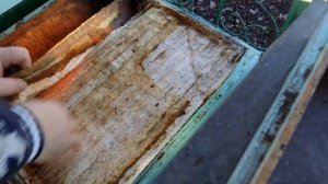 Зимовка пчел. Подмор в январе. Контроль кормов.