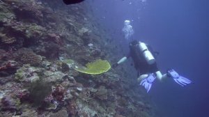 Немножко индийского океана 4К