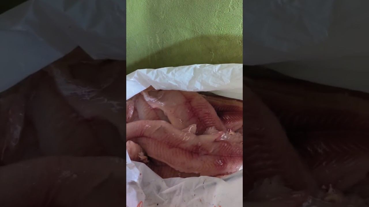 Сюрприз внутри щуки Разделка рыбы! Хищные щуки! #рыбалка #рыба #филе #щука #река #fishing #еда смотреть онлайн