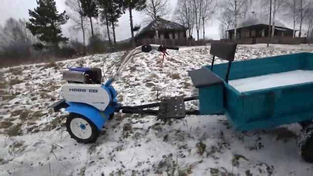 В Костромскую деревню за ульями!  Зима без снега . (1)
