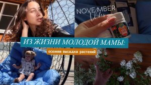 МАМА В ДЕКРЕТЕ: подготовка почвы для  гортензий в конце сентября / что изменилось во дворе?