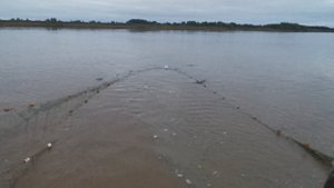 Лучший Замёт НЕВОДОМ / Рыбалка На НЕВОД/ В Гостях У Отшельника В Глухой Тайге!