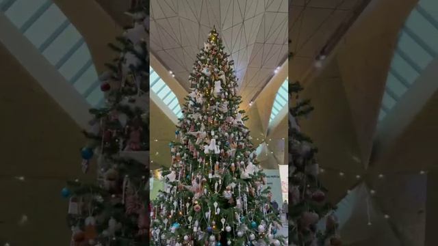 Атмосфера новогодней сказки уже в аэропорту Пулково 🌛🎄