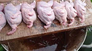 Как мы забиваем перепелов !