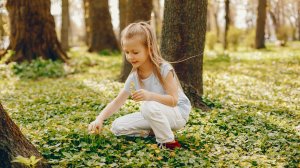 История о том, как маленькая девочка потерялась в лесу