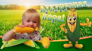Видео для детей, которые любят кукурузу!
