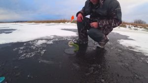 Зимняя рыбалка.Первый лед на малой реке.Рыбалка на жерлицы.Рыбацкое счастье.