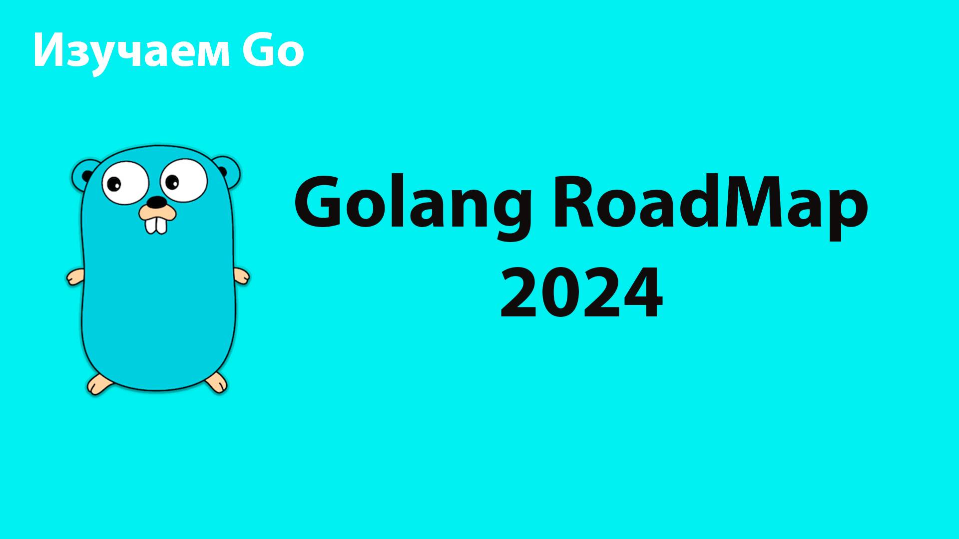 Как учить Go в 2024. Обсуждаем Roadmap