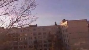 Птица пулемёт