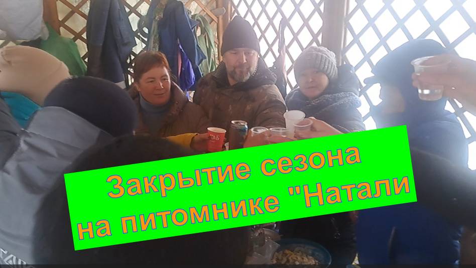 Закрытие сезона на питомнике растений "Натали". Сахалин. Декабрь 2024.