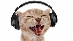 брат 2 brother 2