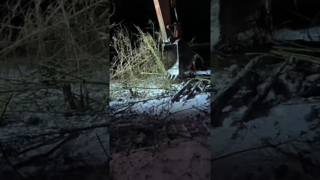 Прополка тальника экскаватором! #река #тальник #прополка #рыбалка #техника #трактор #кран смотреть онлайн