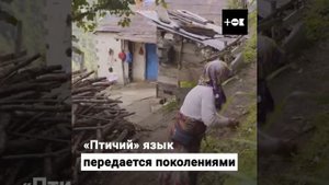 Птичий язык в Турции