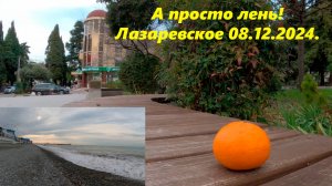 А просто лень! Лазаревское утренним днем 08.12.2024.🌴ЛАЗАРЕВСКОЕ СЕГОДНЯ🌴СОЧИ.