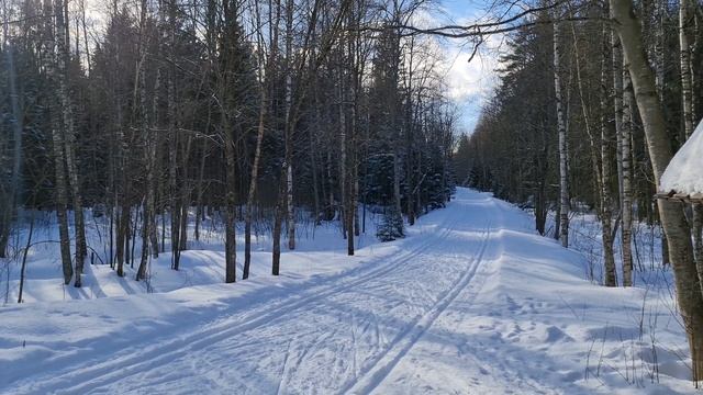 Северный снег смотреть онлайн