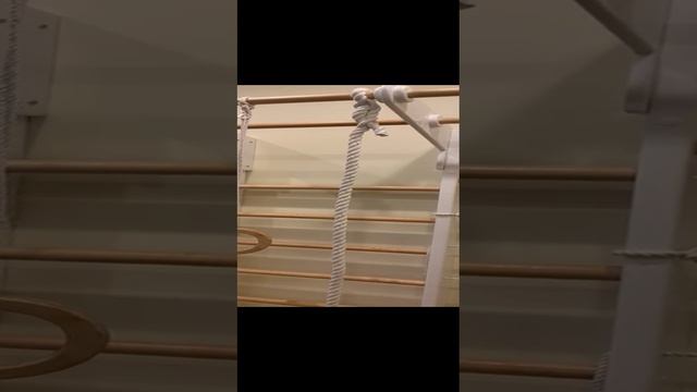 WhatsApp Video 2024-12-08 at 11.24.30