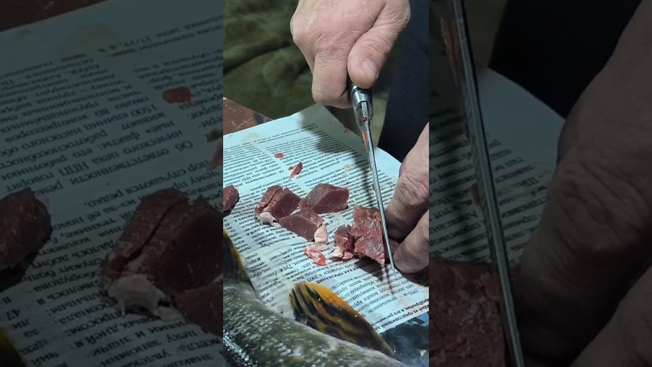 Сырая Оленина! На родовых угодьях! Охота! #охота #рыбалка #оленина #еда #природа #тайга смотреть онлайн