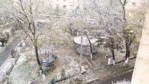 С первым снегом нас, ташкентцы! #ТАШКЕНТ