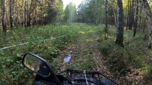 Покатушки на квадроцикле Линхай д300