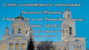 Слово митрофорного протоиерея Николая Малета по окончании Божественной литургии 08.12.24