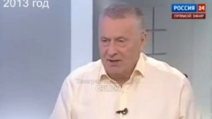 История от Жириновского "Сирия"