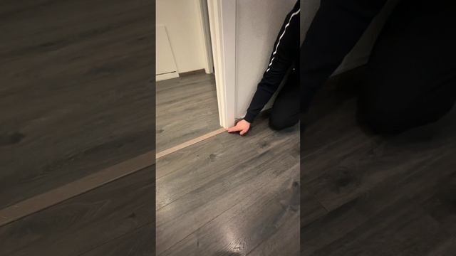 Zems Pro Стоимость Проекта