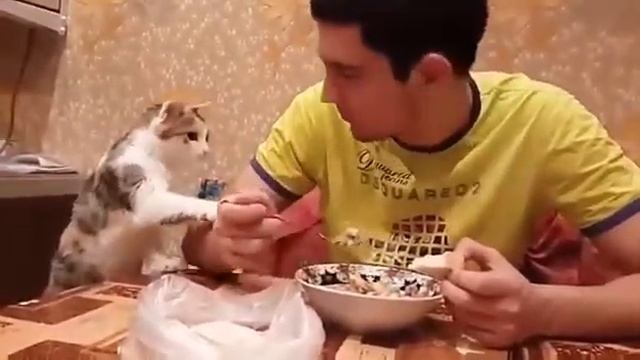 смешная песня про пост
