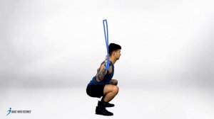 BWS Programs - Barbell Back Squat