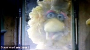 Sesame Street Wonderful Me